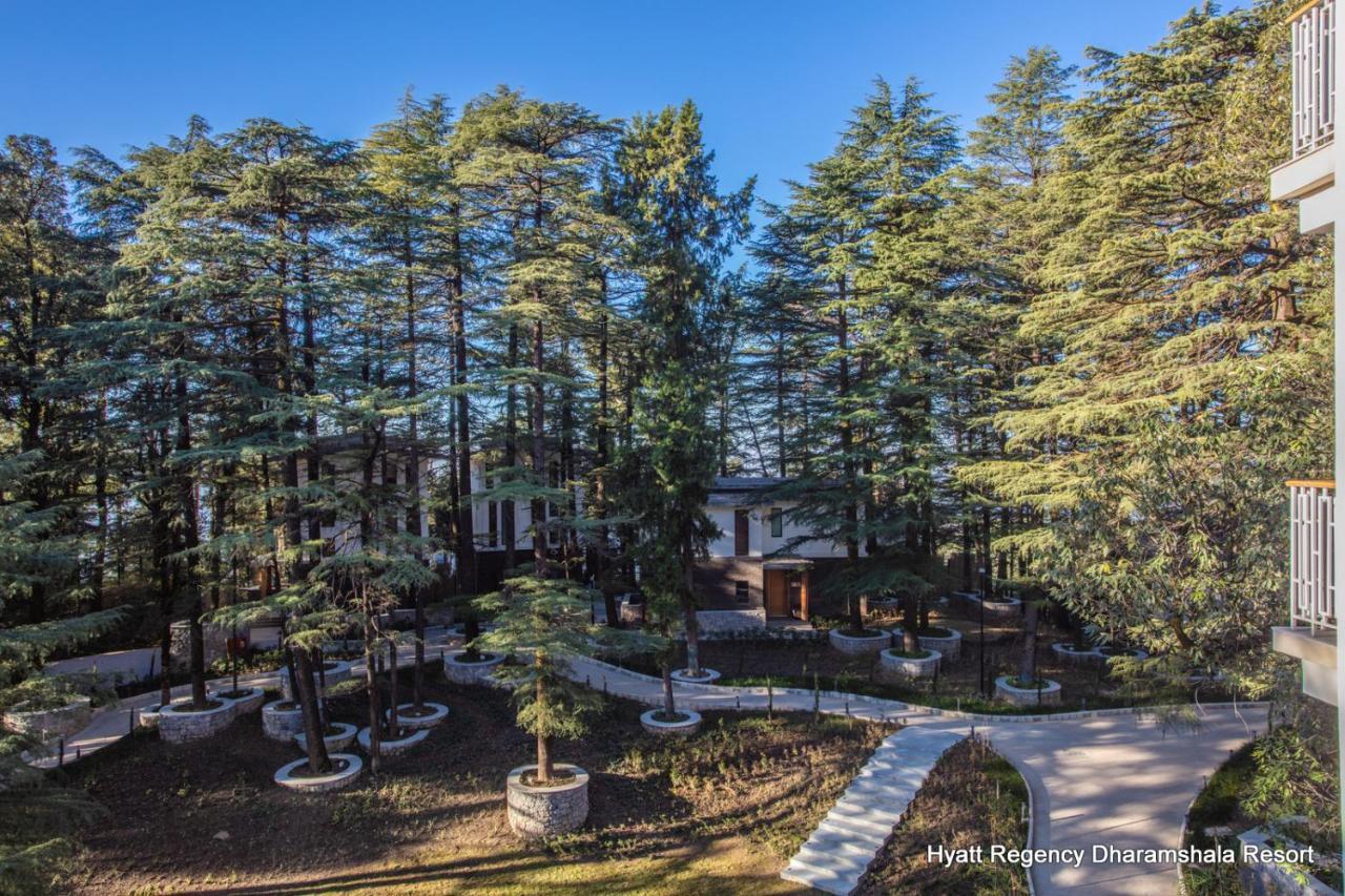 Hyatt Regency Dharamshala Resort Buitenkant foto