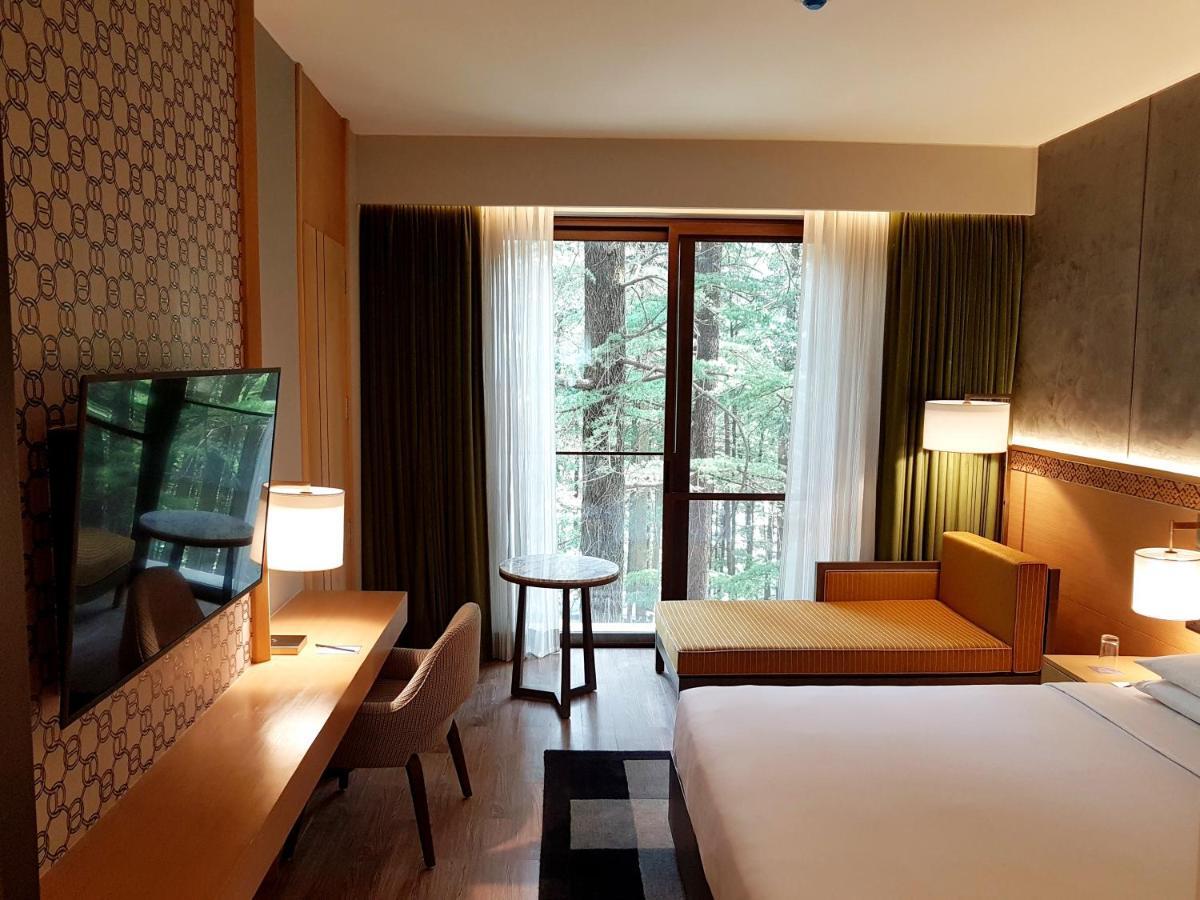 Hyatt Regency Dharamshala Resort Buitenkant foto